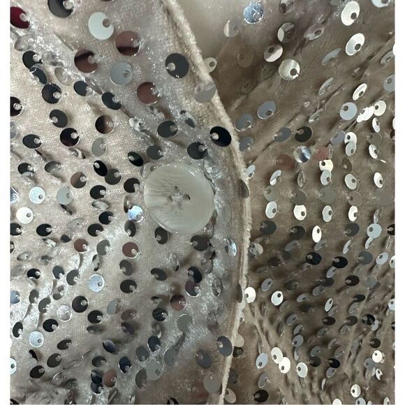 Sanctuary Velvet Charmed Blazer - Picture 6 of 11